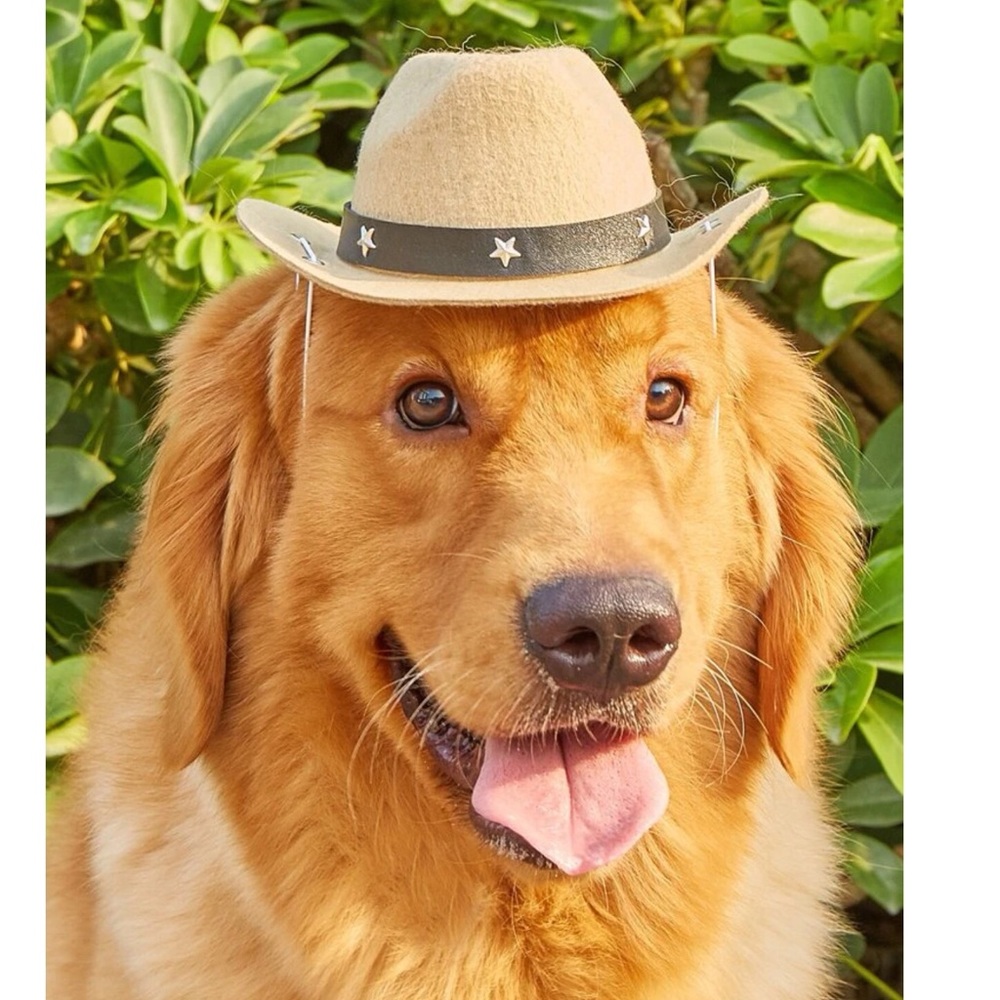 Cowboy Design Pet Hat 🐕